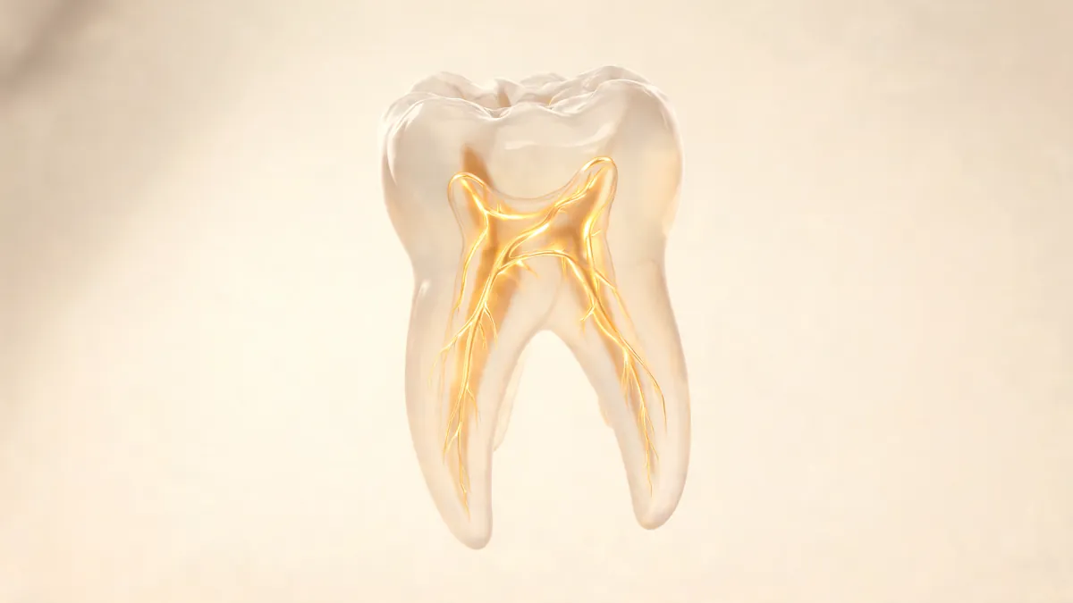 Translucent illustration of a lower molar with curved roots and several narrow root canals